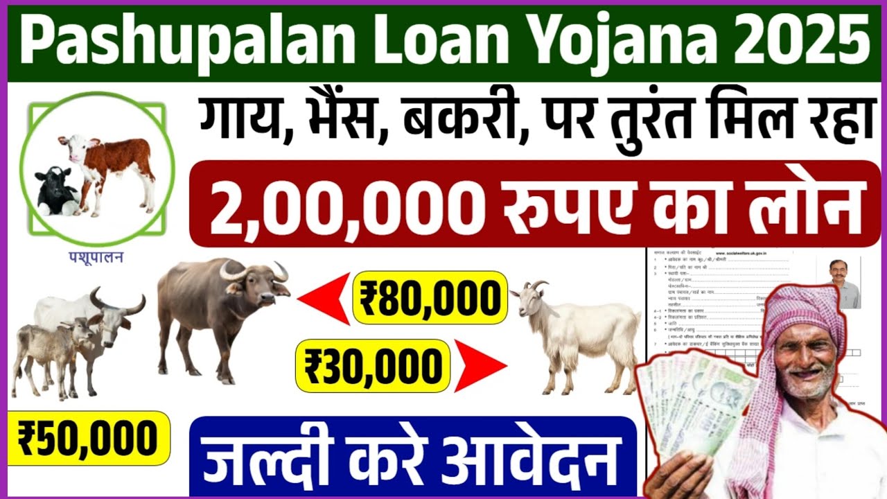 पशुपालन लोन योजना 2025: गाय-भैंस-बकरी पर मिलेगा 2 लाख तक का सरकारी लोन